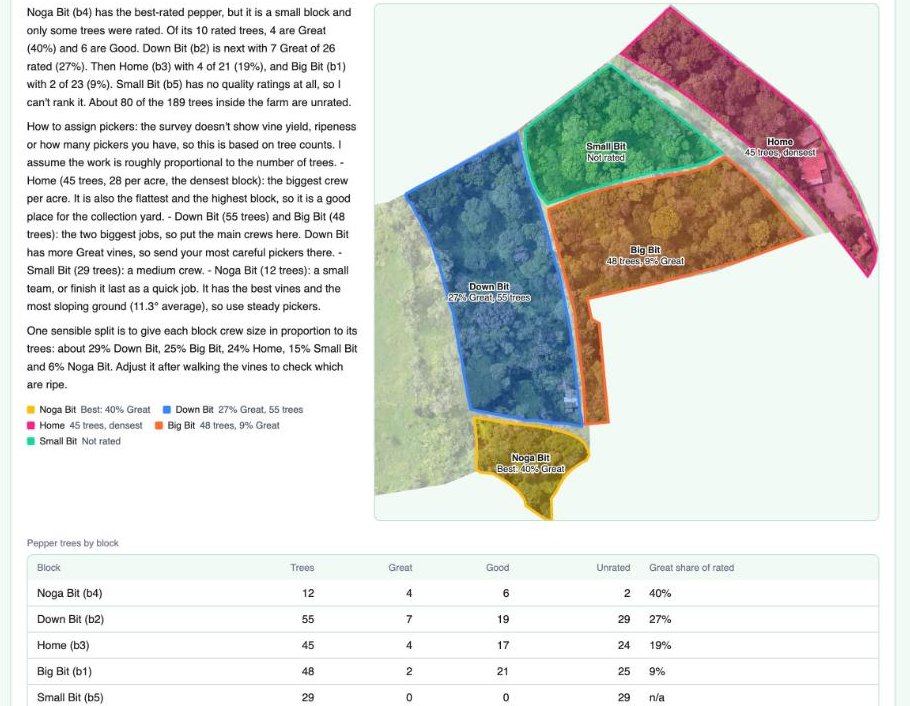 AI answer ranking blocks by pepper vine quality and suggesting how to split picking crews, with a table of pepper trees per block