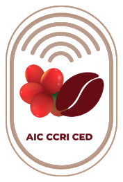 AIC CCRI CED logo